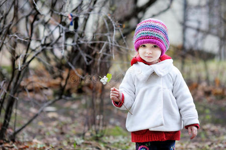 的小南瓜灰色小猫产卵数采用桩关于秋树叶可爱的小女孩在秋日快乐木桶