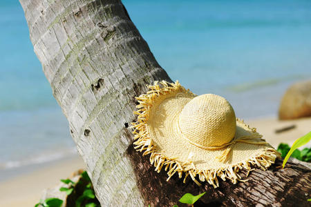 海滩上的帽子