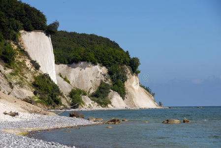 高的 风景 茉莉花 海岸线 卵石 森林 自然 娱乐 公园