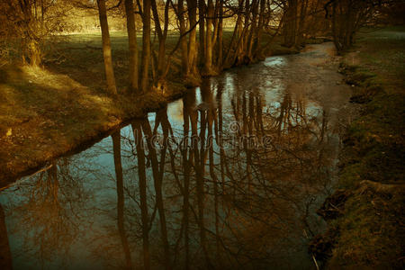平静的河流图片