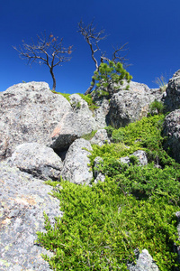 黑山国家森林