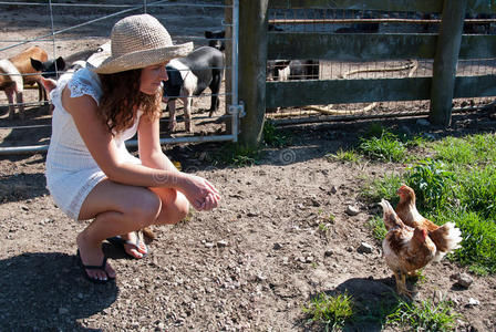 养鸡女农家女与马, 狗的电话在草地上研究草籽头的