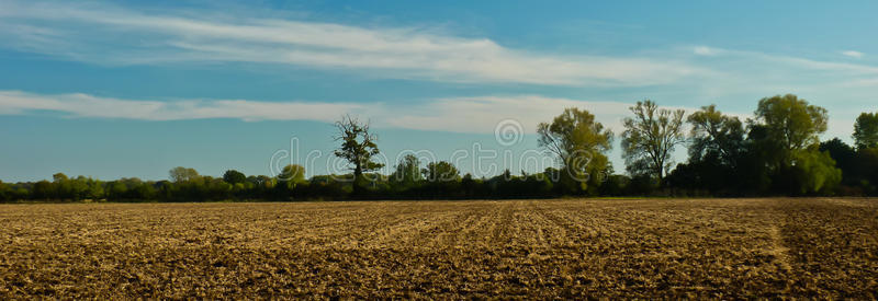 农田地平线图片