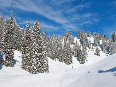 滑雪坡