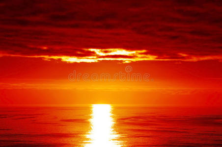 夕阳红图片