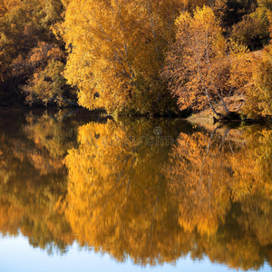秋天的森林湖