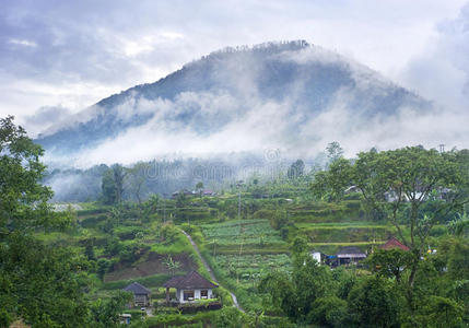 山村