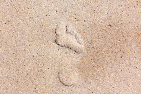 海岸线踪迹图片