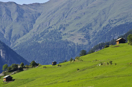 高山牧场