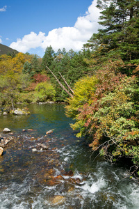 秋季高原河