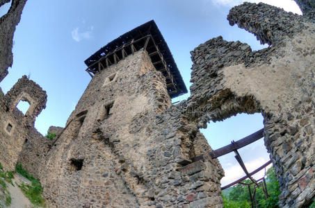 奈维茨基城堡遗址