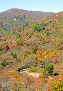 蓝岭公园道坟场部分