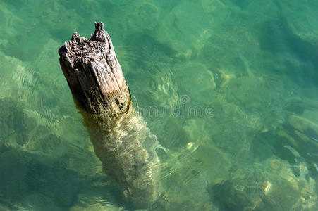 水中的木桩