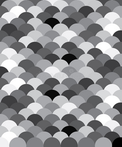 黑白纹鱼鳞照片