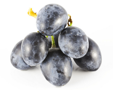 浆果 水果 作物 抗氧化剂 可爱的 食物 葡萄酒 秋天 葡萄