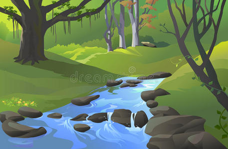 亚特兰大的小溪有小溪的绿色亚马逊森林照片