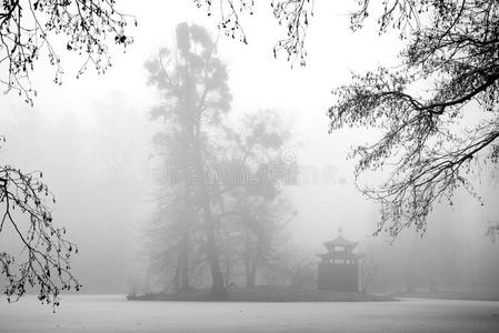 雾中的树木和凉亭