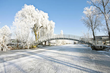 冬季荷兰乡村典型景观