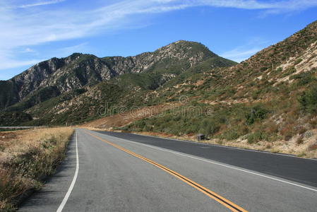 全景图 森林 旅行 风景 公园 公路 天空 条纹 荒野 运输