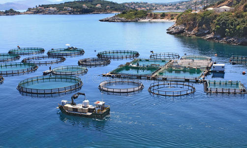 养鱼养鱼场照片