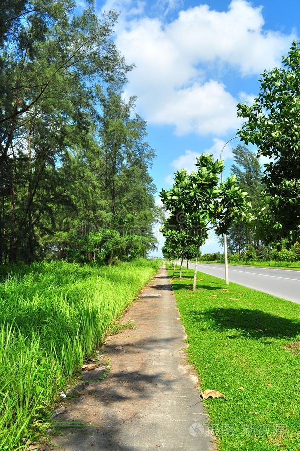 主干道旁的绿化人行道