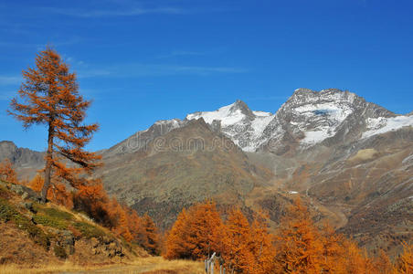 瑞士阿尔卑斯山