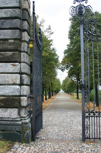 豪宅的大门敞开的大门照片