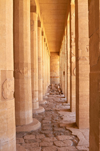 埃及卢克索哈特谢普苏特神庙中的柱子