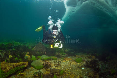调节器 游泳 海底 面具 探索 水下 暗礁 照相机 危险
