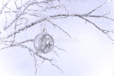 树枝上的银色透明圣诞装饰品