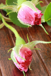 木纹玫瑰