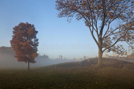 中央公园清晨大雾