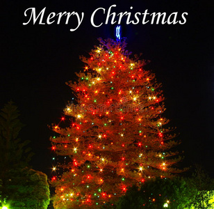 带灯的圣诞树图片