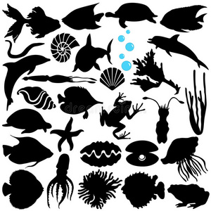 鱼类海洋生物海洋生物海鲜