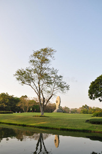 夏季景观