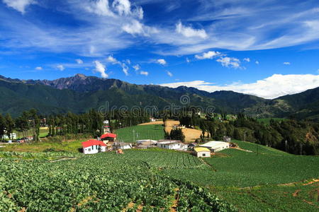 山里的农场