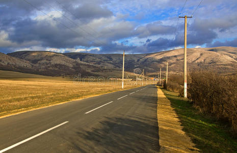 乡村道路和树木