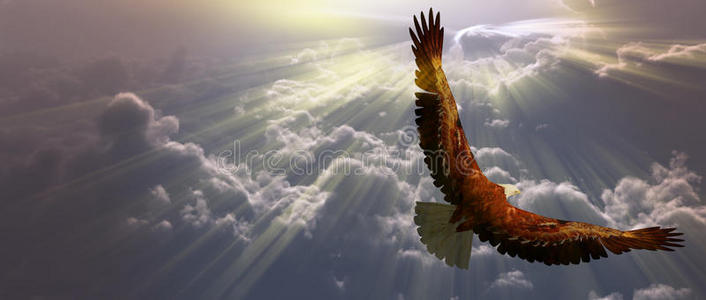 翱翔在云端的雄鹰照片