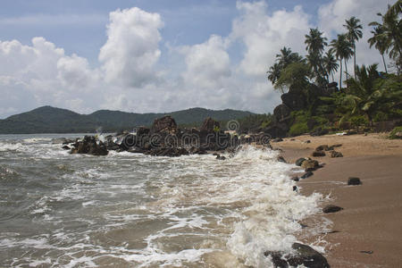 热带海滩沼泽地