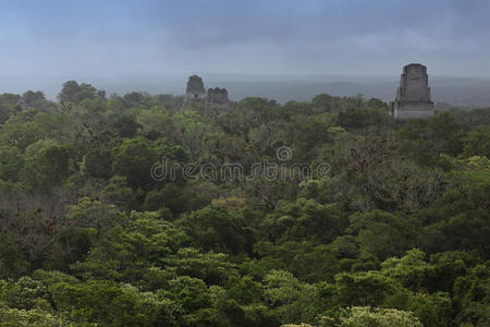 危地马拉蒂卡尔丛林中的玛雅建筑