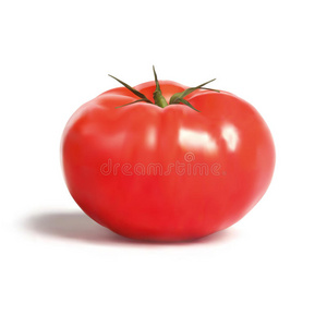 番茄，有机农产品。