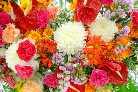 混合的多种花不同花朵的混合照片