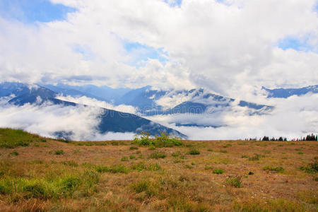 山与雾