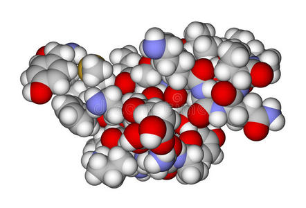 内啡肽释放图片