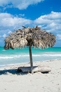 热带沙滩上的阳伞