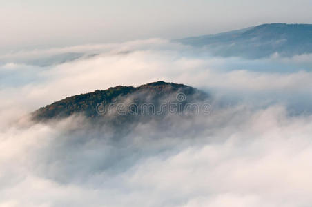 朦胧的风景