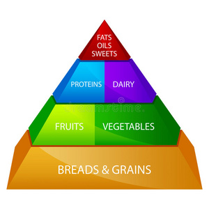 食物金字塔图片