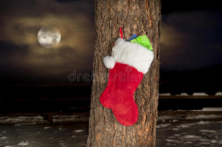 松树上的圣诞袜
