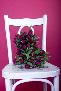 白色椅子上的紫色郁金香