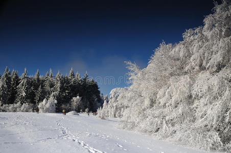 山中雪景